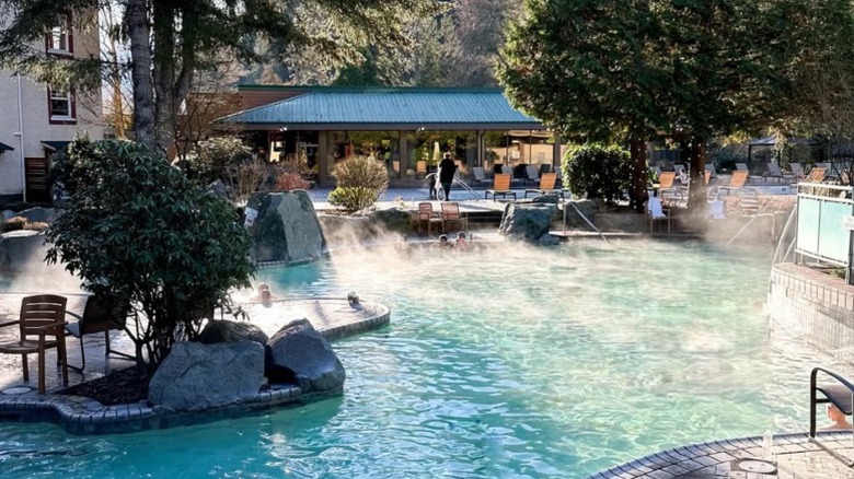 A resort pool steaming on a sunny day with trees and people around it.