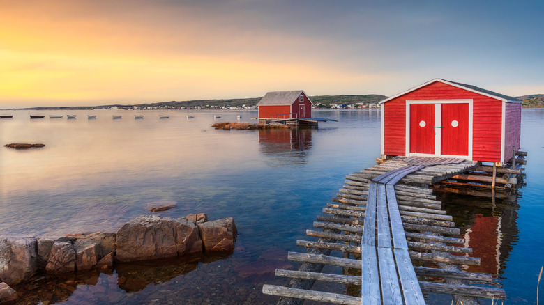 Red cabins on water in fishing village of Tilting, Fogo Island.