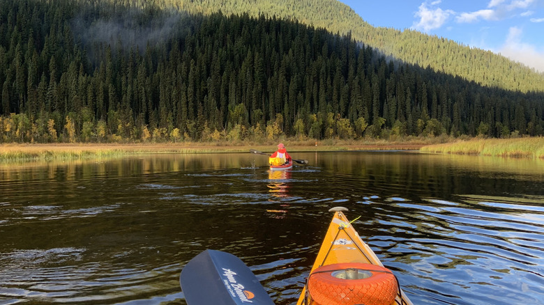 Orange canoes gliding over a clear lake in Bowron Lake Park with tall evergreens visible along the shoreline.