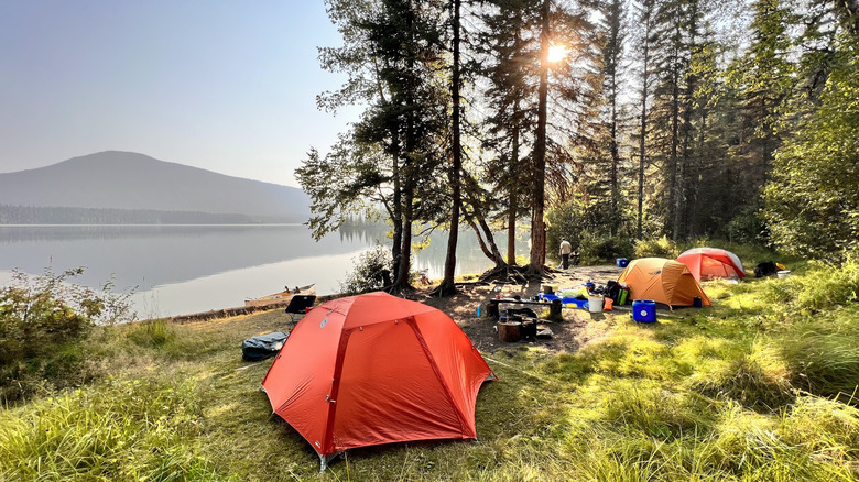 Three camping tents pitched by the lakeside on a clear day with trees in the foreground and mountains in the background.