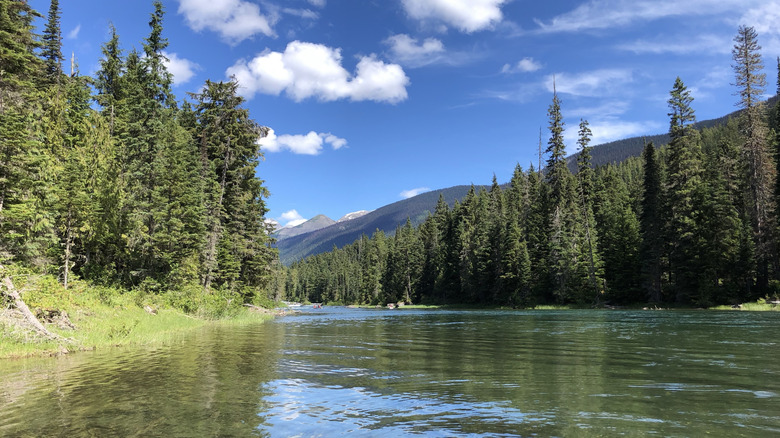 Lake Bowron's clear waters surrounded by a pine forest against a blue sky and white clouds.