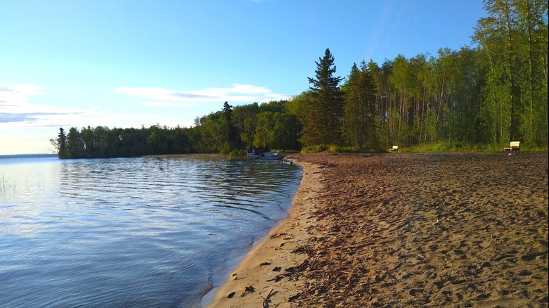 The sandy beach and trees on the shoreline at Pinehurst Lake in Lakeland Provincial Recreation Area, Alberta