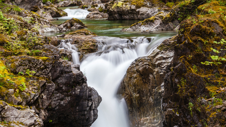 One of the waterfalls in Little Qualicum Falls Provincial Park near Parksville.