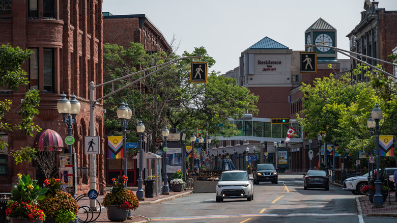 A busy street in Moncton on a bright morning