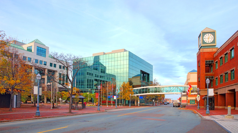 An empty street in downtown Moncton on an autumn day