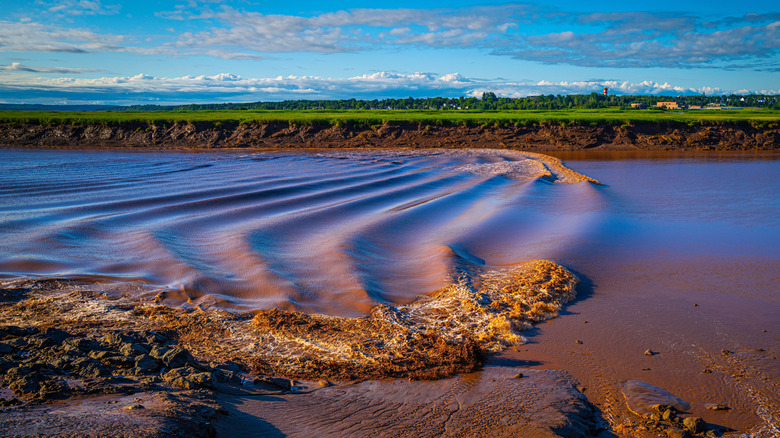 A close up of the tidal bore in Petitcodiac River in Moncton