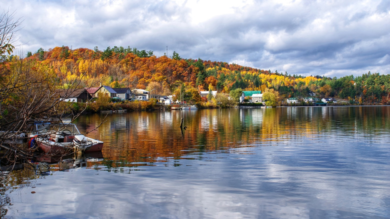 A view of Wakefield from the water with a forest in the background during autumn