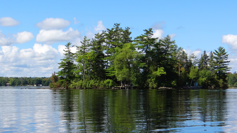 Floating forest island in Big Rideau Lake, Canada