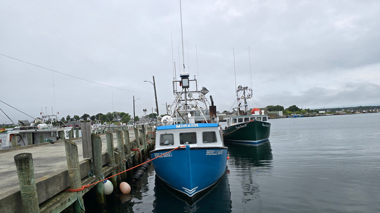 A boat moored in the Lockeport harbor on a cloudy day
