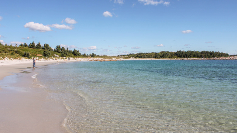 Clear waters and white sands in Crescent Beach
