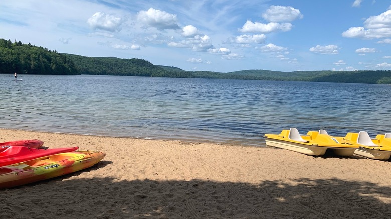 sandy lake beach with paddleboats on shore and forest in background