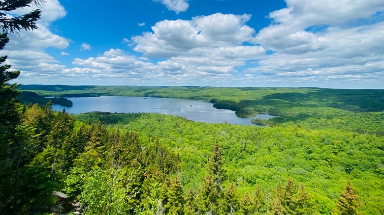 aerial view of vast forest, a lake, and blue sky with white clouds