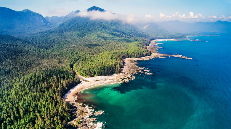 An aerial view of Muqin-Brooks Peninsula Provincial Park on the northwest coast of Vancouver Island, British Columbia, Canada