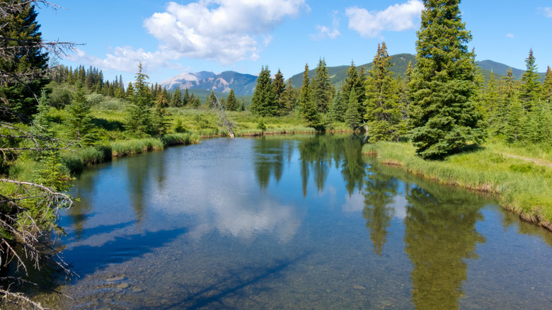 A river snakes below soaring mountains in the Willmore Wilderness Park
