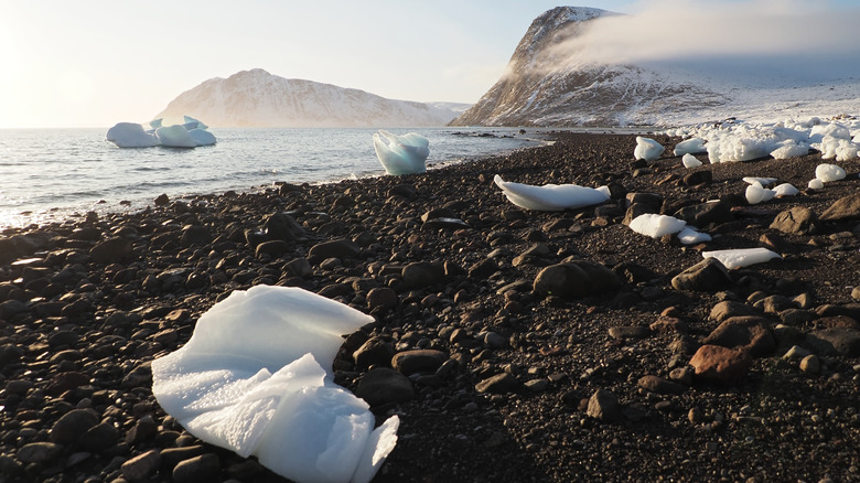 A remote beach in Quttinirpaaq, Nunavut, Canada
