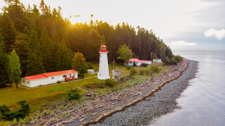 A lighthouse on a shore with driftwood on Quadra Island in Canada