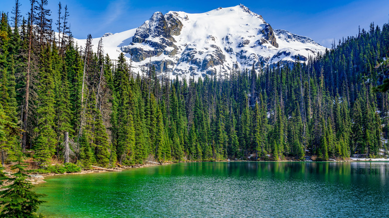 Mountain landscape around Pemberton, British Columbia