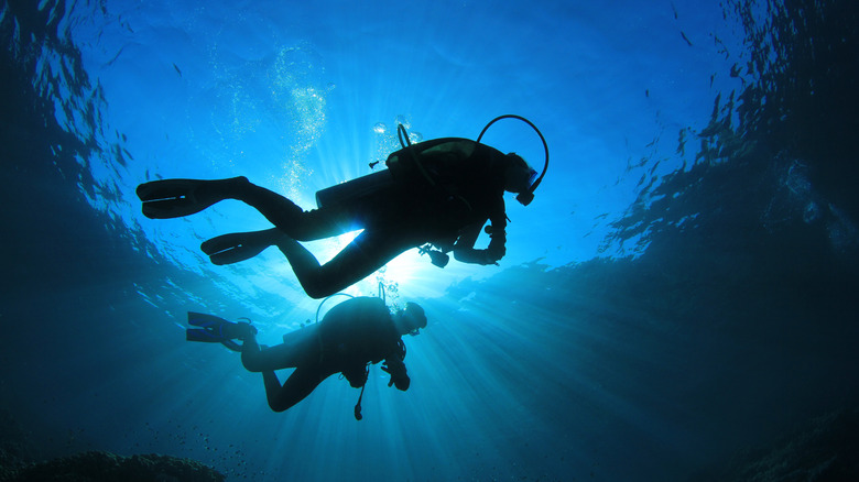 The silhouettes of two scuba divers in dark water photographed from beneath, Canada