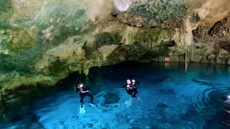 Two divers in the water off Kingston, Ontario