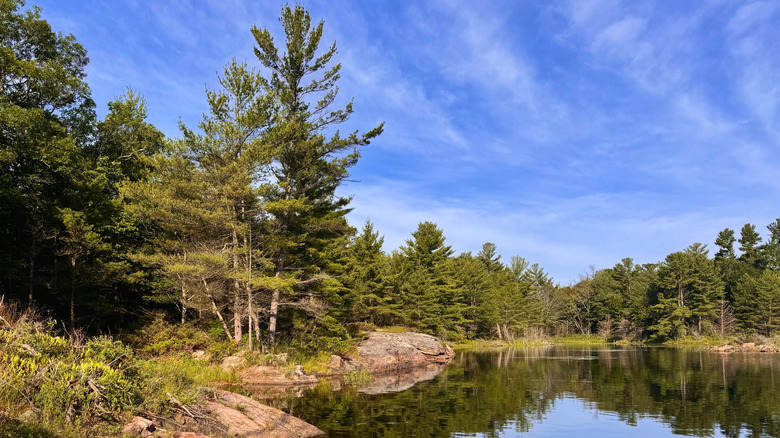 Trees and lake on Beausoleil Island