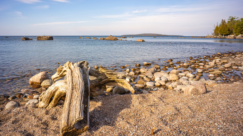 Wooden log and pebbles ashore grainy beach
