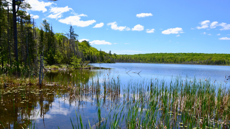 Views of tranquil Kettle Lake in Ontario, Canada, surrounded by trees from hiking trail