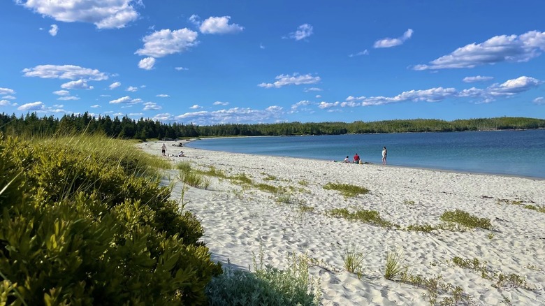 White-sand beach with grassy banks and azure sea