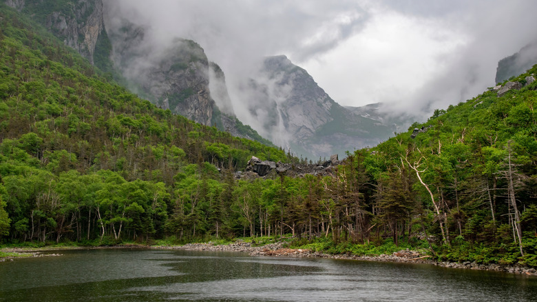 The shores of Western Brook Pond Fjord in Newfoundland, Canada