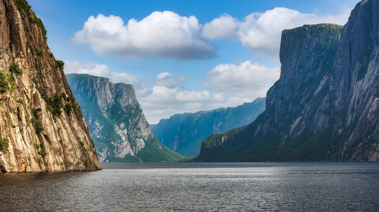 Newfoundland fjord in Canada's Gros Morne National Park