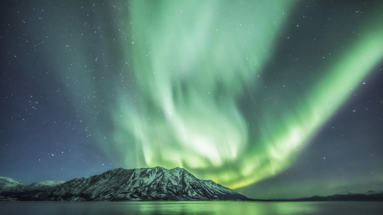 The northern lights in Kluane National Park
