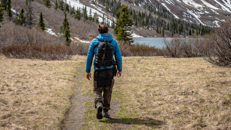 A person hiking into Kluane National Park and Reserve