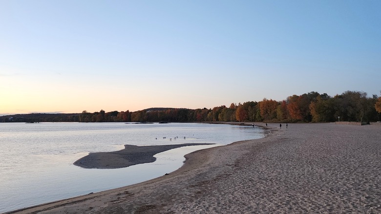 The wide, white sand beach of Shabogesic Beach with trees behind and Lake Nipissing in front