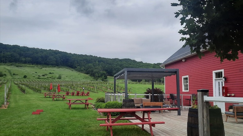 A vineyard with picnic tables in the rolling valley hills of Gaspereau, Nova Scotia