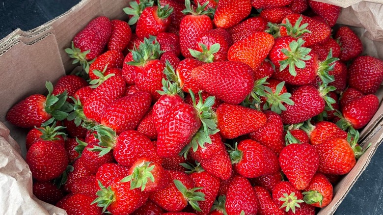 A box of strawberries at Bumbleberry Farms, Abbotsford, Canada