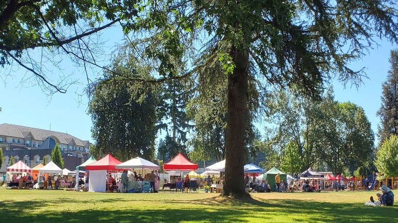 Tents set up at Abbotsford Farm & Country Market in British Columbia on a sunny day