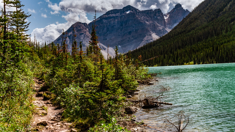 The green waters of Sherbrooke Lake are cradled in the forested mountains of British Columbia