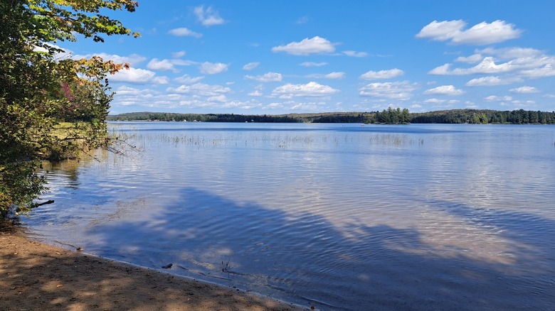 A sandy beach on the shores of a large calm lake at Mikisew Provincial Park, Ontario