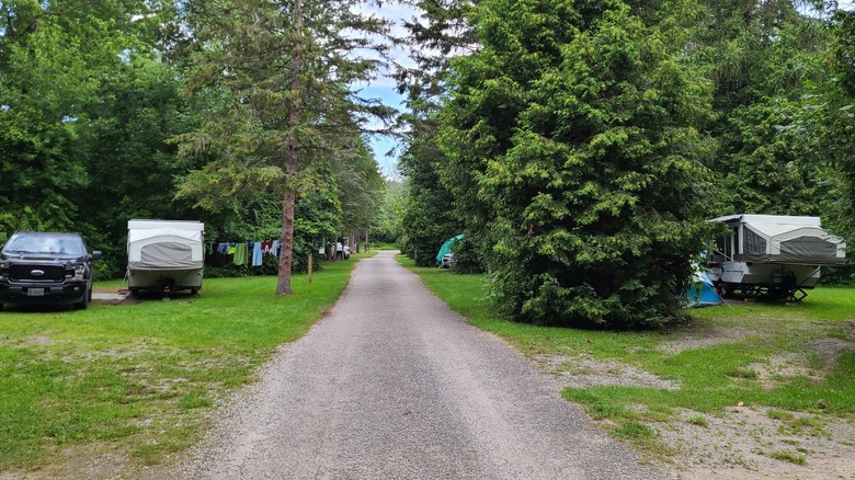 a gravel road bisects wooded RV camping areas