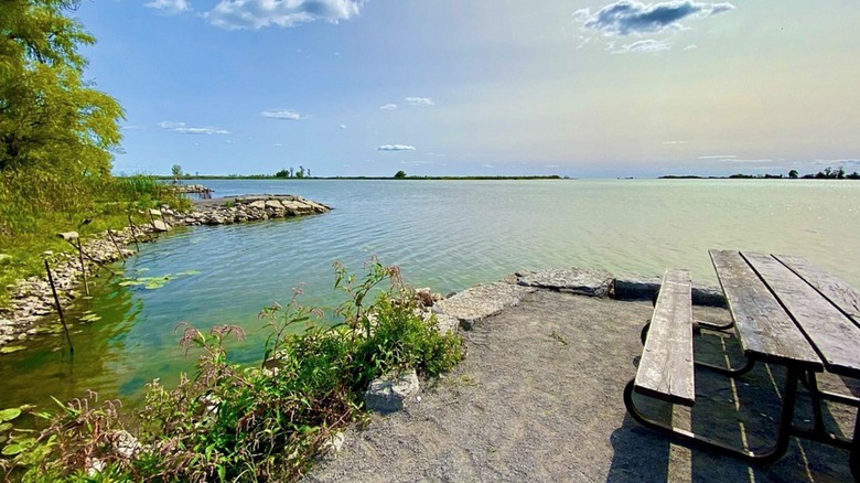 lakeside picnic and fishing spots with tables along the shoreline