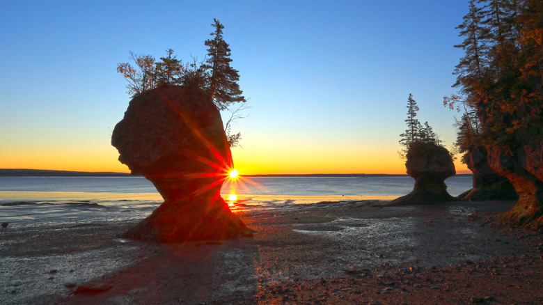 Sunrise at Hopewell Rocks during low tide