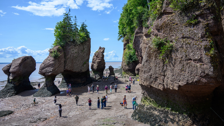 People walking on the ocean floor among sea stacks at Hopewell Rocks Provincial Park