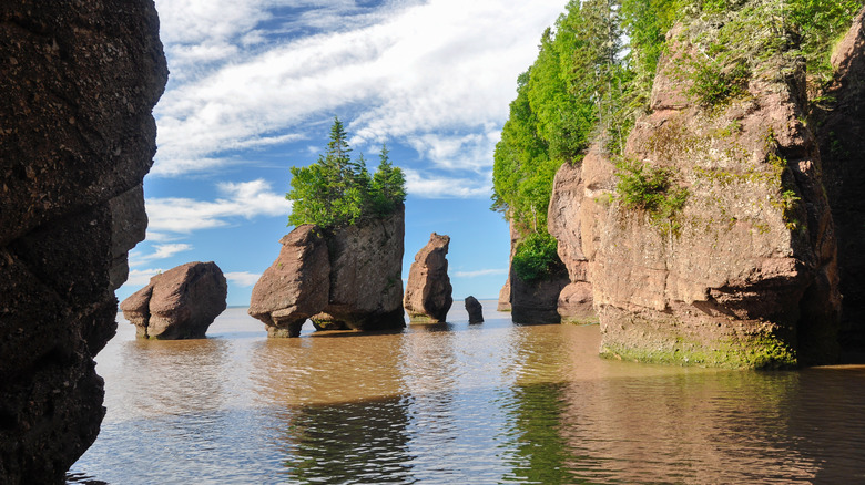 Hopewell Rocks partially immersed in water at high tide