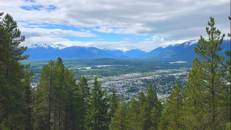 View of the city of Terrace, British Columbia.