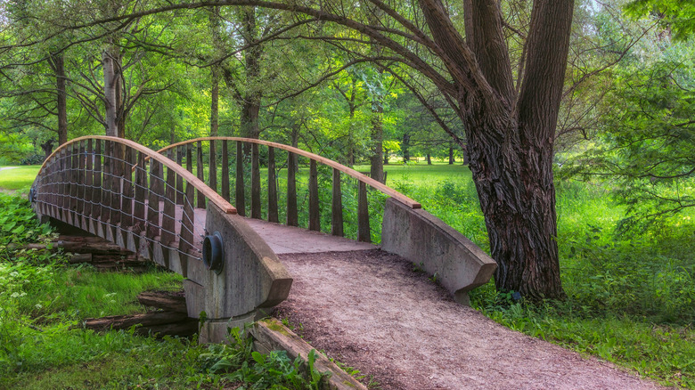 A small bridge among greenery in the Arboretum in Guelph, Ontario