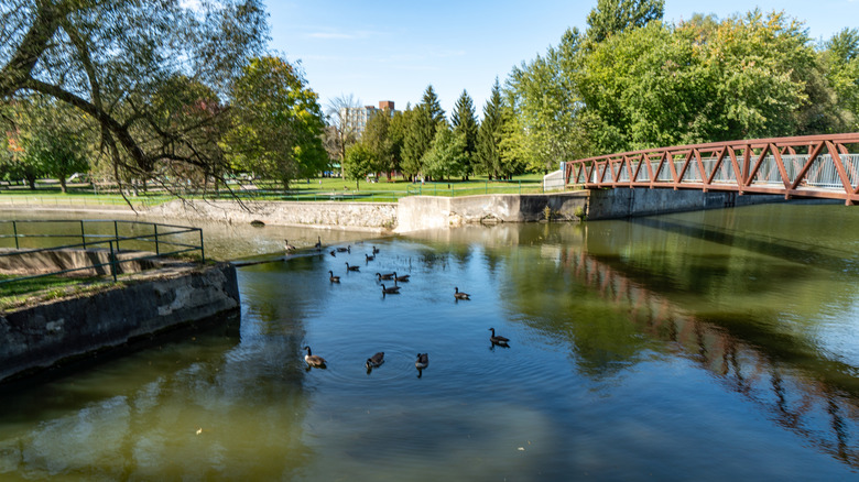 View over the river with a bridge in Guelph, Ontario