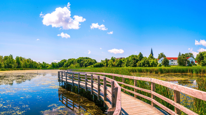 Sackville Waterfowl Park, Canada