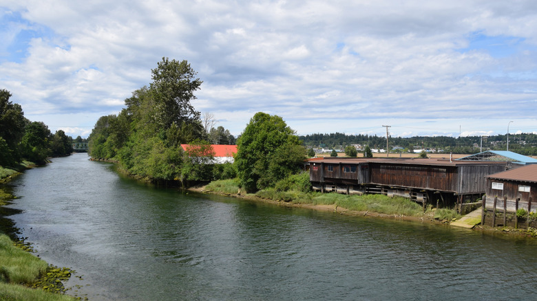 A view of the Courtenay River lined with some trees and wooden buildings under a cloudy blue sky.