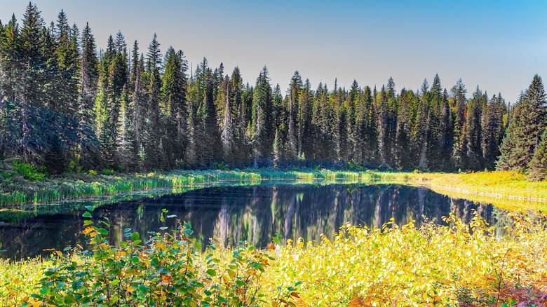 Lake reflecting the landscape in Wells Gray Provincial Park, British Columbia, Canada