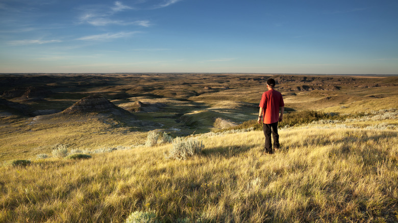 man standing on a ridge and soaking in the expansive views of grasslands national park in canada