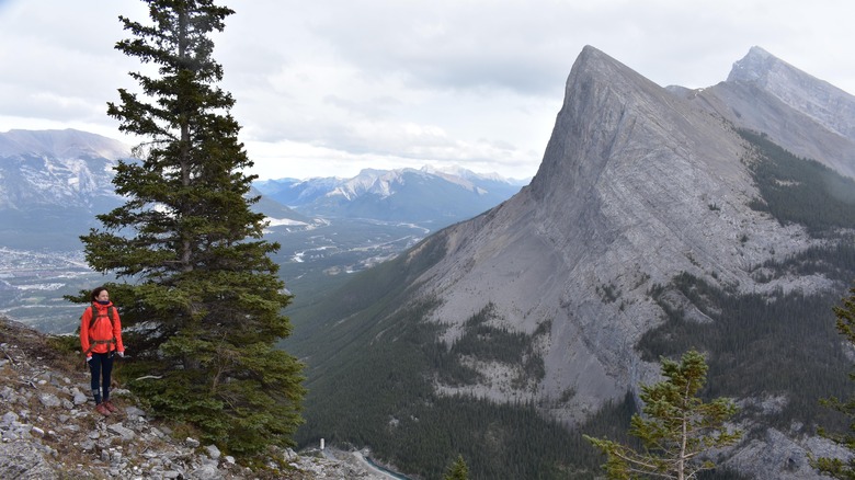 A hiker looking out over the beautiful view on the Ha Ling Peak Hike near Canmore
